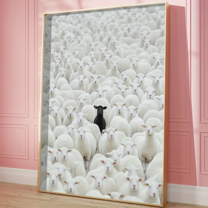 Black Sheep by CM