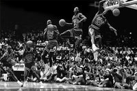 GOAT 2.0